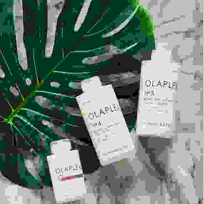 Plum Hair Salon Plum Hair Salon in Smyrna Vinings,